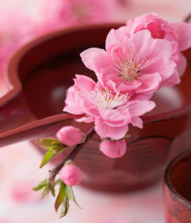 best365英国在线体育