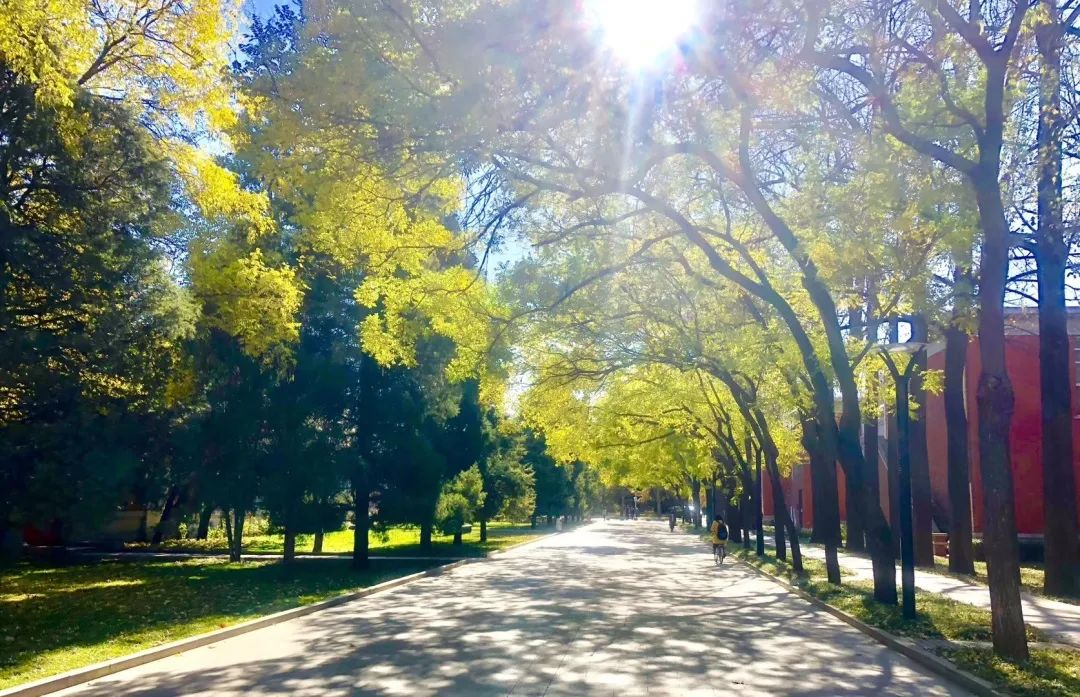 best365英国在线体育