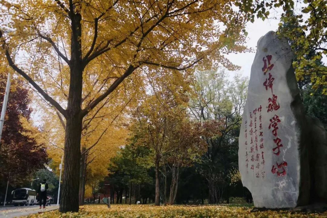 best365英国在线体育