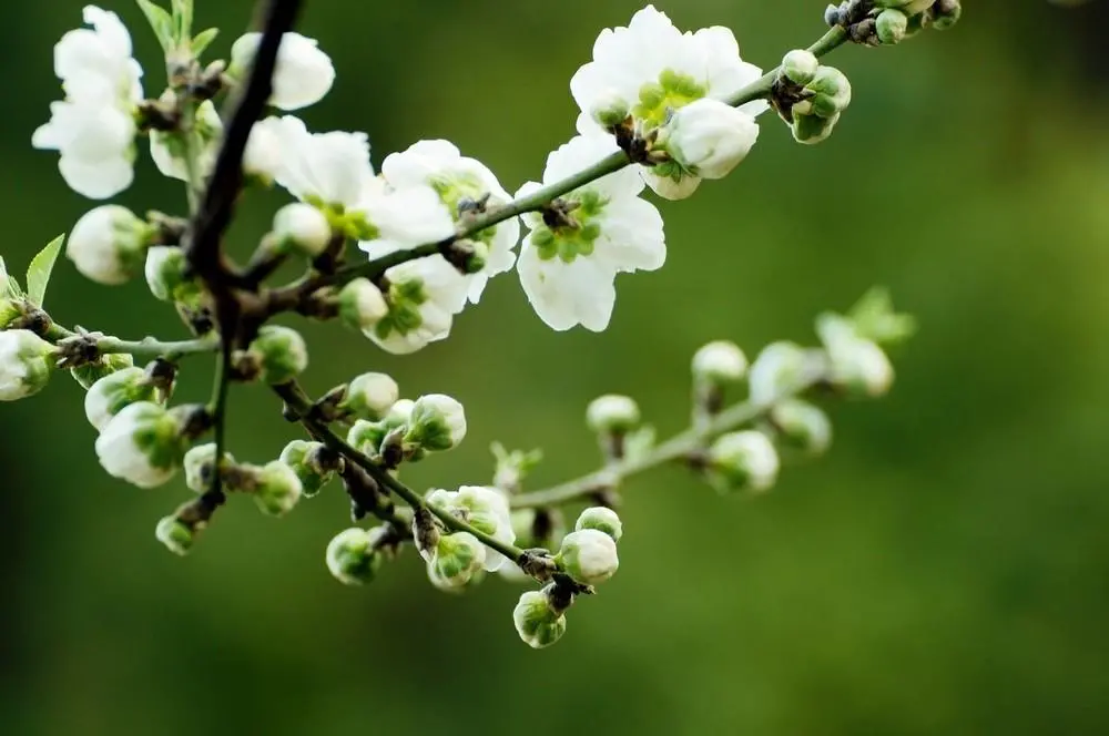 best365英国在线体育