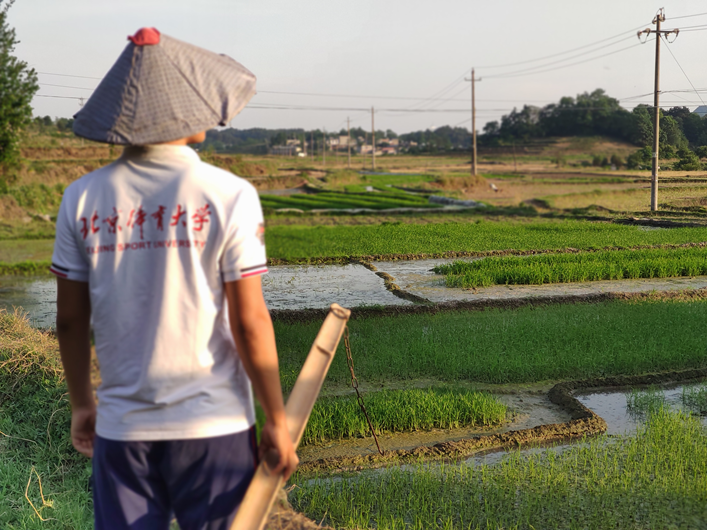 best365英国在线体育