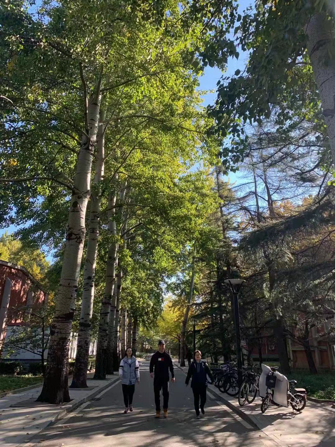 best365英国在线体育